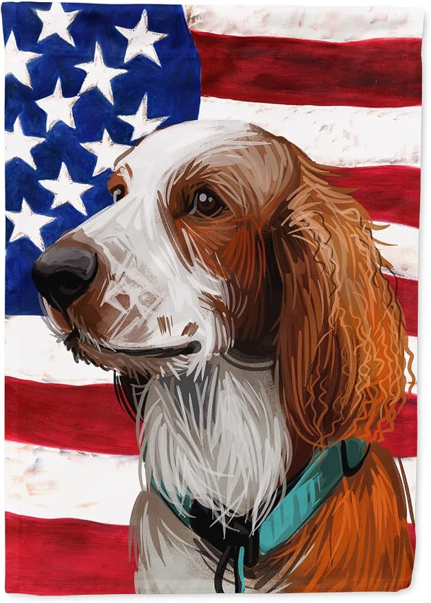 Caroline's Treasures CK6753CHF Welsh Springer Spaniel American Flag House Flag Large Porch Sleeve Pole Decorative Outside Yard Banner Artwork Wall Hanging, Polyester, House Size, Multicolor