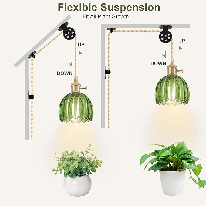 Hanging Grow Lights for Indoor Plants, 12W Full Spectrum 98+ CRI Grow Lamp, Dual CCT 3000K/4000K, Dual Switches, Pulley Height Adjustable, 13.12FT Cord, Petal Glass Plant Light for Indoor Flowers