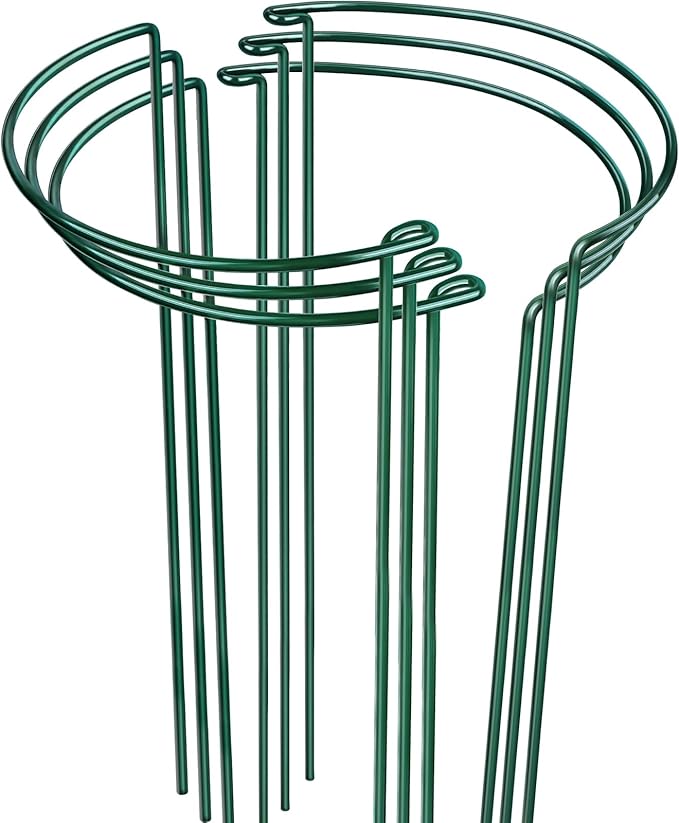 LEOBRO Plant Support Plant Stakes, 6pcs Peony Cages and Supports, Metal Garden Stakes Plant Supports, Plant Support Stakes, for Peony, Tomato, Hydrangea, Indoor Outdoor Plants, 10" W x 24" H