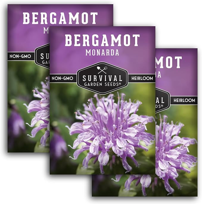 Bee Balm Seeds for Planting - Wild Bergamot Survival Garden Seeds (3 Packs) | Monarda Fistulosa - Perennial Native Wildflower & Medicinal Herb for Pollinator Gardens, Fragrant Flowers