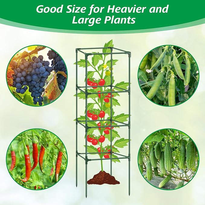 6Pack Tomato Cages for Garden,Square Tomato Plant Cage Support Heavy Duty Pole 57*15.4*15.4 Inches,Steel Plant Tower Stakes,Cherry Tomato Trellis Cucumber for Climbing Vegetables Flowers Fruits-Green