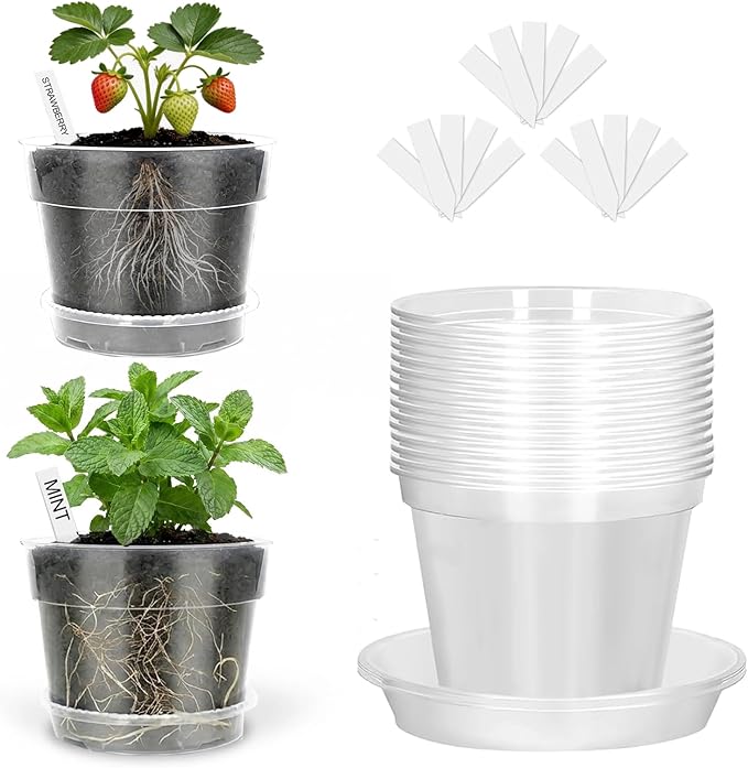 Amasiver 6 Inch Clear Nursery Pots for Plants,Transparent Plant Pots with Drainage Holes & Saucers,Seed Starter Pots with 15 Plant Labels,Clear Plastic Flower Pots for Indoor Outdoor