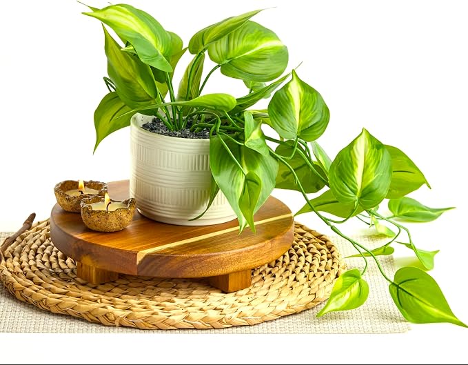 Kurrajong Farmhouse Dark Green Fake pothos | Fake Plant for Shelf Decor | Artificial Trailing Ivy Plant with 5" Wide Ceramic Pot | Faux pothos | Feaux Pothos | Bathroom and Kitchen Decor
