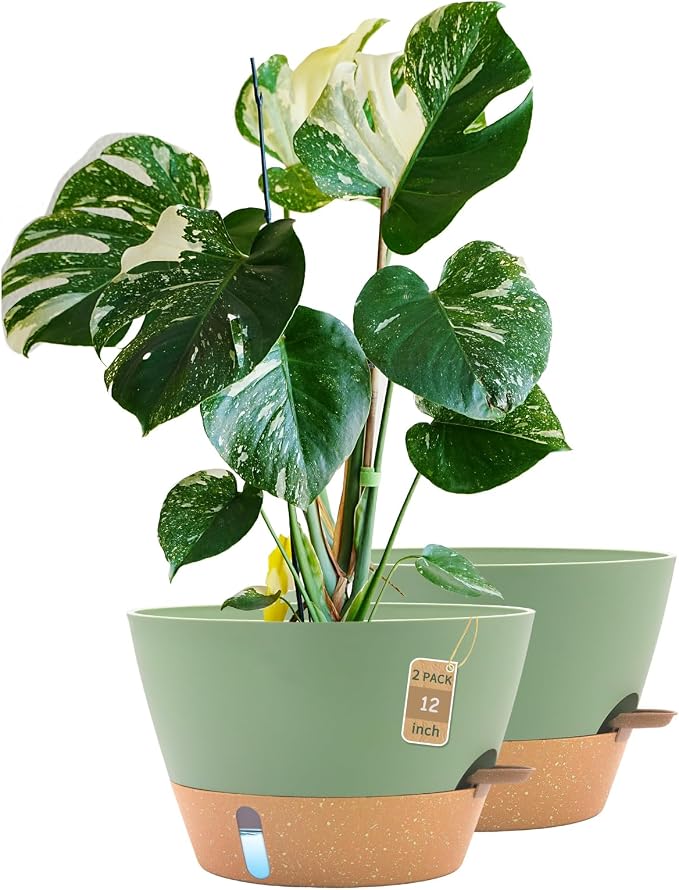 12 Inch Self Watering Pot with Visual Water Window, Drainage Holes & Watering Lip, Set of 2 Large Plastic Planters for Indoor Outdoor Plants, Modern Decorative Flower Pot (Green)