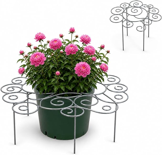 Plant Support Ring for Outdoor Plants, 17.32 x 17.32 in Metal Garden Stake, Decorative Peony Support Cage for Potted Flowers, Hydrangeas, Roses, 1 Pack