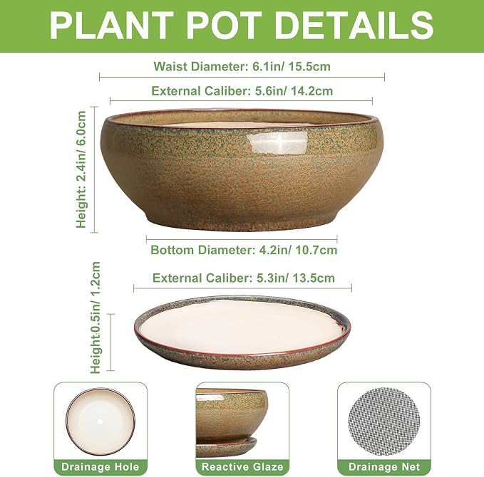 SQOWL Bonsai Pots Small - 6 Inch Ceramic Succulent Pots with Drainage Hole and Saucer, Shallow Round Planter for Indoor Plants Outdoor, Ceramic Cactus Planter, Patio Decor, Housewarming Gift, Brown