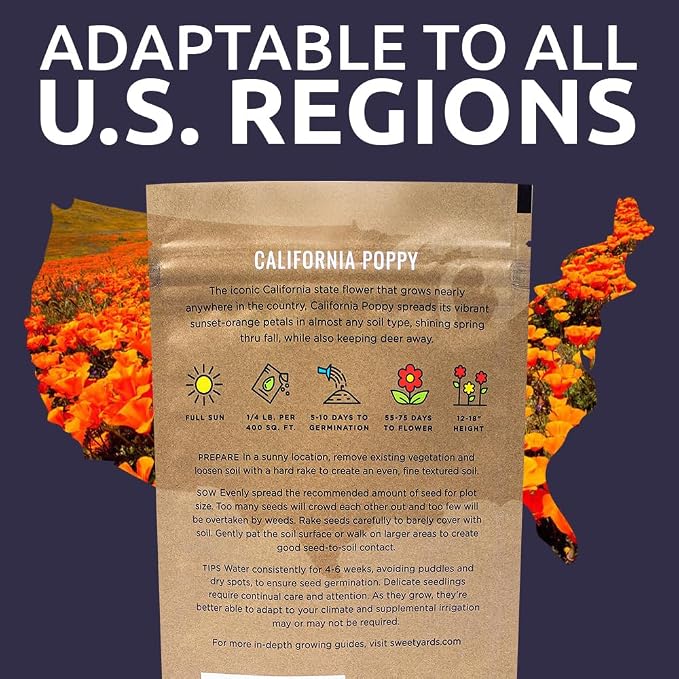 California Orange Poppy Wildflower Seeds - Bulk 1/4 Pound Bag - Over 80,000 Native Seeds - California State Flower!
