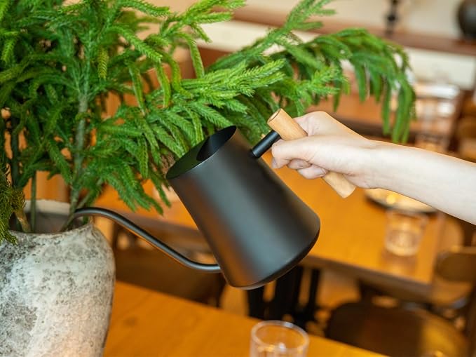 Green Moon 1L/35oz Metal Watering Can Indoor with Long Spout, Black | Metal Stainless Steel Watering Can with Wood Handle for Indoor Plants, House Bonsai, Succulents, and Outdoor Garden Flowers