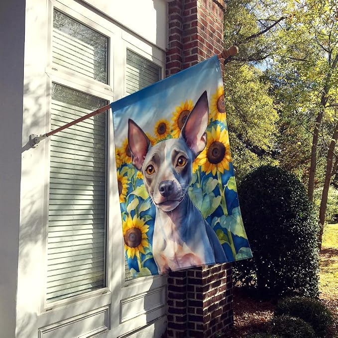 Caroline's Treasures DAC6010CHF American Hairless Terrier in Sunflowers House Flag Large Porch Sleeve Pole Decorative Outside Yard Banner Artwork Wall Hanging, Polyester, House Size, Multicolor