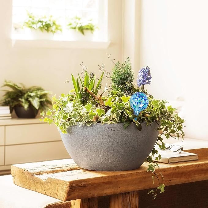 Plant Watering Globes Set of 6 - Small Glass Self Watering Globes for Indoor & Outdoor Plants - Multicolor Passive Watering Devices for Short Term Soil Moisture Support Bulbs
