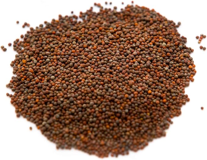 Broccoli Seeds for Sprouting & Microgreens | Waltham 29 Variety | Non GMO & Heirloom Seeds | Bulk 2.5 LB (40 oz) Resealable Bag | Rainbow Heirloom Seed Co.