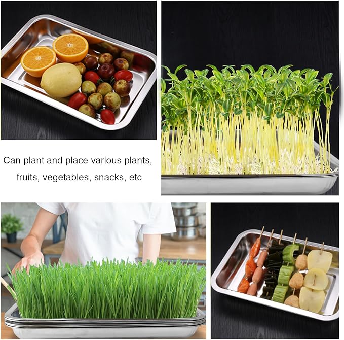 RooTrimmer 10 Pack Stainless Metal Trays, Stainless Steel Seed Starter Carry Tray for Nursery Seedling Pots Water Collection Transplantation (10.63 inch×14.17 inch, 1.18" Height)
