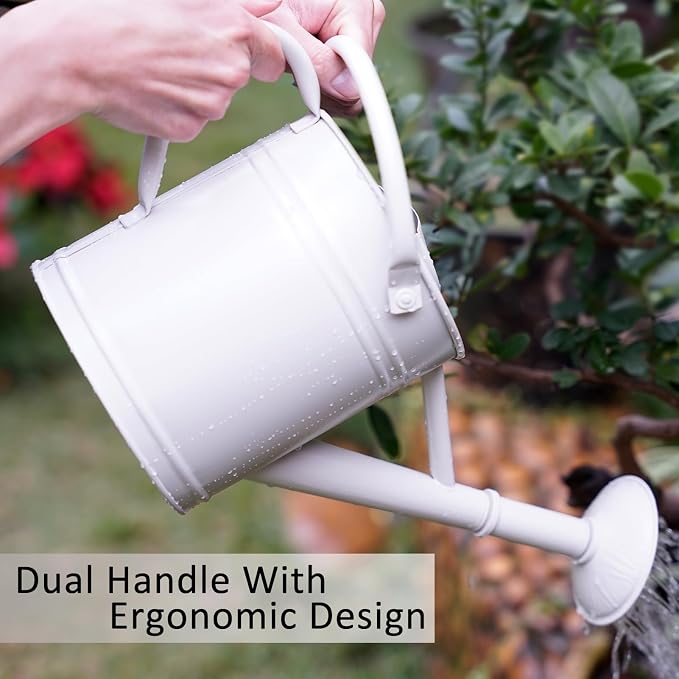 1 Gallon White Metal Watering Can for Indoor and Outdoor Plants, Removable Watering Rose and Spout, Dual Handle Garden Water Can for Patio, Greenhouse and Houseplants