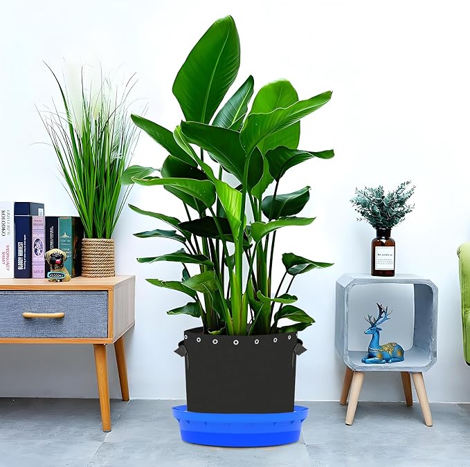 Self-Watering Base with Visible Water Level,5-Pack,Keeps Leaves and Flying Insects Out,Maintains Water Quality.Blue.(Without Wheels).