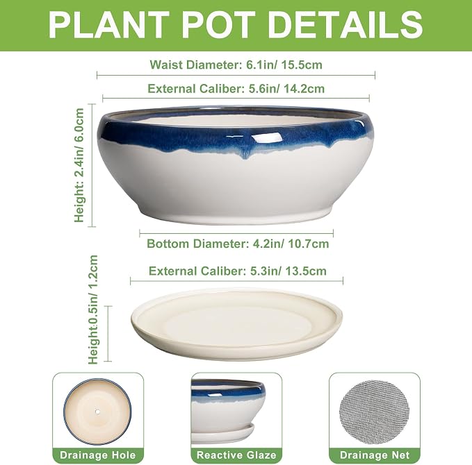 SQOWL Succulent Planters 6 Inch - Ceramic Bonsai Pots with Drainage Hole and Saucer, Round Shallow Planter for Indoor Plants, Ceramic Cactus Pot, Apartment Decor, Gifts for Women, Blue Off-White