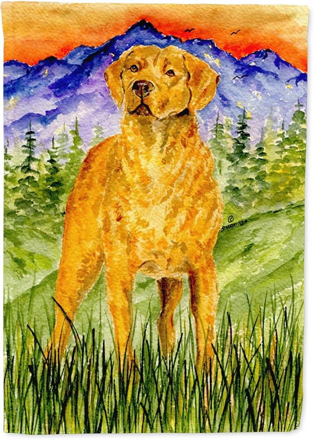 Caroline's Treasures SS8449GF Chesapeake Bay Retriever Garden Flag Mailbox Flag Decorative Yard Flag Banner Outside Patio Artwork Yard Flower Beds, Garden Size, Multicolor