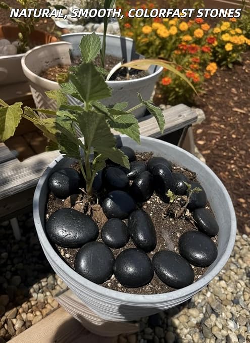4lb Black River Rocks for Plants, 1-3 Inch Pebbles for Indoor Plants, Polished Garden Rocks Outdoor Landscaping, Decorative Stones for Vases, Succulents, Aquarium, Walkways