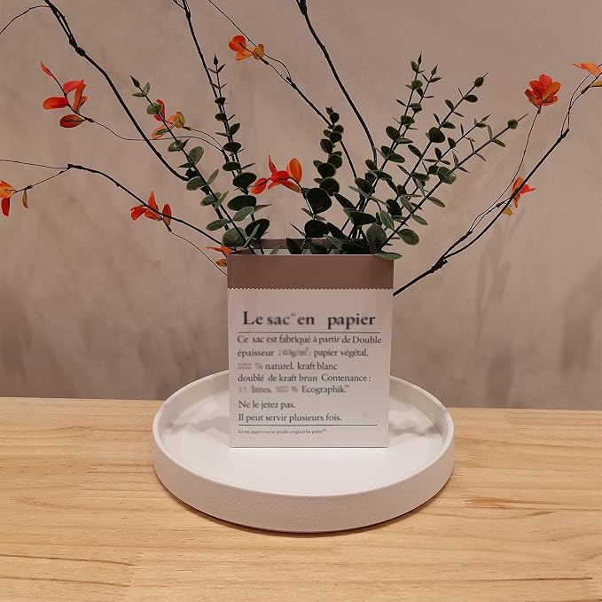 Plant Pot Saucer - 10 Inch Plant Saucer for Indoors and Outdoor Ceramic Plant Tray for Indoors Large Plant Drip Trays Round Flower Pot Saucer Plant Dishes to Catch Water,Frosted White