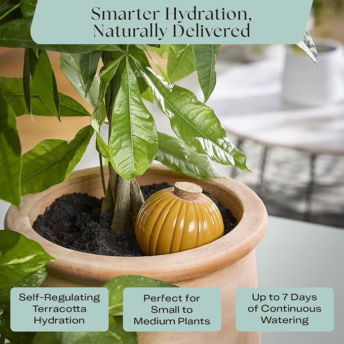 Rosy Soil Plant Parent Essentials Gift Box, Indoor Plant Kit | Gift for Plant Lovers, Gardening Tool Kit, with Peat-Free Houseplant Soil, Terracotta Watering Bulb, Soil Scoop, Plant Brush