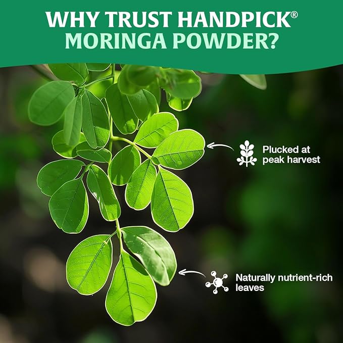 HANDPICK USDA Organic Moringa Powder (397g/14oz) Pure Moringa Oleifera Leaf Powder | Authentic Indian Origin | Gluten Free, Non-GMO | Perfect for Smoothies, Drinks, Tea & Recipes (Packaging may vary)