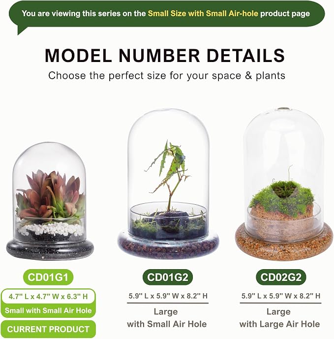 NCYP Small Clear Decorative Glass Terrarium Cloche with Air Hole - 4.7 x 4.7 x 6.3 Inches Glass Dome with Base for Miniature Plants - Display Storage (No Plants Included)
