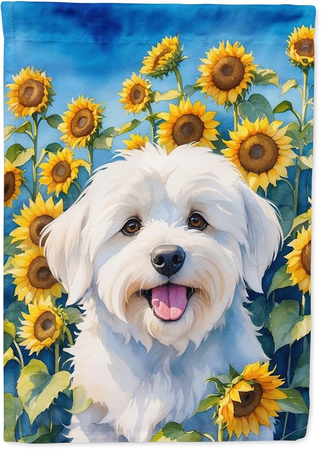 Caroline's Treasures DAC6063GF Coton de Tulear in Sunflowers Garden Flag Mailbox Flag Decorative Yard Flag Banner Outside Patio Artwork Yard Flower Beds, Garden Size, Multicolor