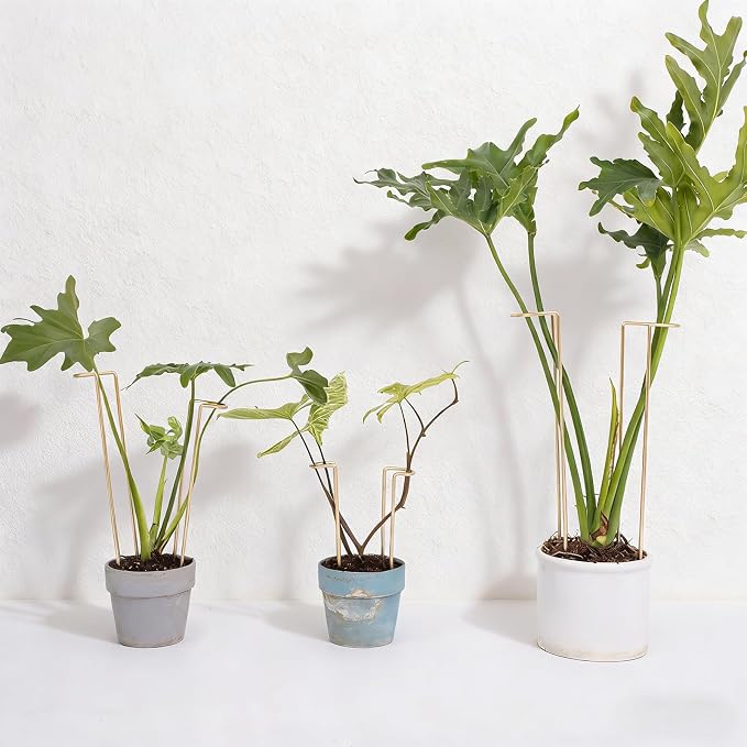 10-Pack Large Indoor Plant Stakes - 15.5-Inch Heavy Duty Metal Supports for Monstera and Outdoor Plants | Ideal for Supporting Tall Plants & Enhancing Garden Displays |