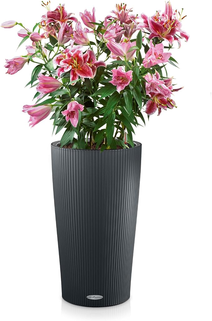 Lechuza CILINDRO Color 32 Slate, Self-Watering Tall Planter, D12.6 H22 in