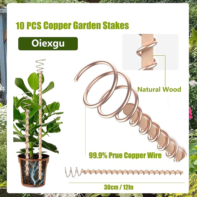 12" Electroculture Plant Stakes,10 Pack Copper Garden Stakes, Long Electroculture Copper Coil Antennas for Growing Vegetable Garden Plants Support High-Yield, Eco-Friendly