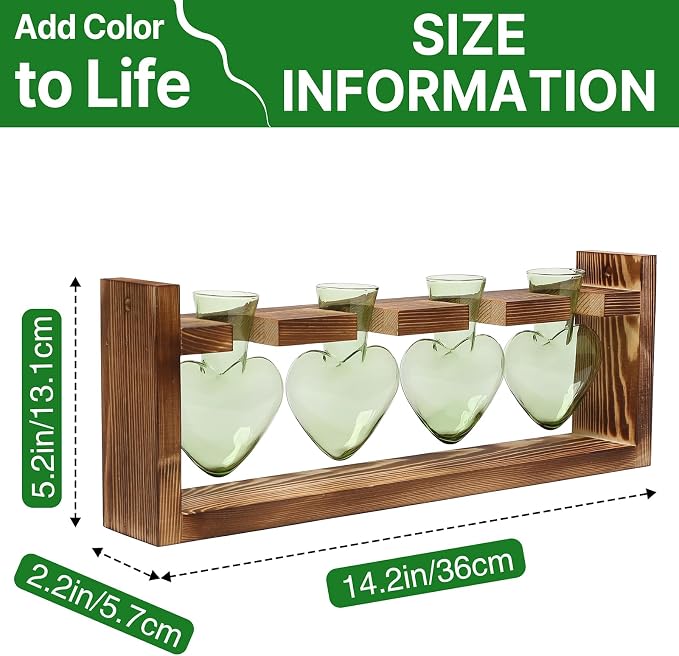 Plant Propagation Stations Heart Plant Terrarium Kit | Gift for Women Plant Lover Glass Vases