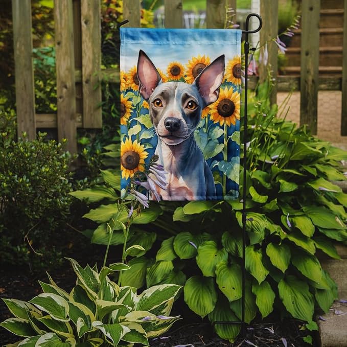 Caroline's Treasures DAC6010GF American Hairless Terrier in Sunflowers Garden Flag Mailbox Flag Decorative Yard Flag Banner Outside Patio Artwork Yard Flower Beds, Garden Size, Multicolor