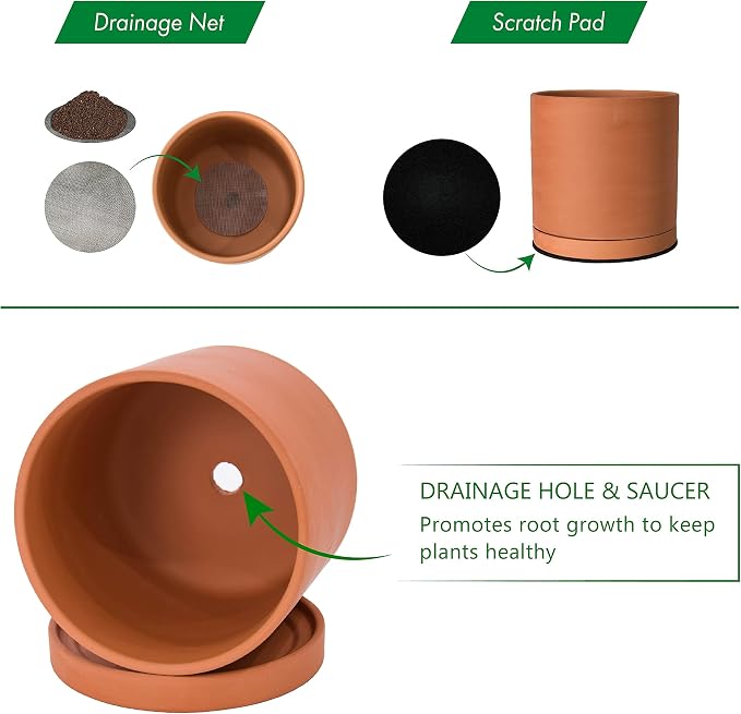D'vine Dev X-Small 4 Inch Terracotta Plant Pots with Drainage Hole and Saucer, Round Cylinder Planter Pot for Indoor Plants, Set of 2, 40-X-B-1