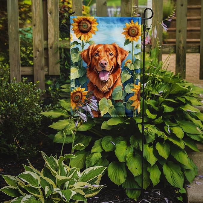 Caroline's Treasures DAC6128GF Nova Scotia Duck Toller in Sunflowers Garden Flag Mailbox Flag Decorative Yard Flag Banner Outside Patio Artwork Yard Flower Beds, Garden Size, Multicolor