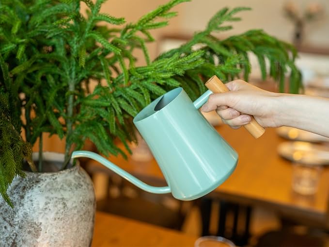 Green Moon 1L/35oz Metal Watering Can Indoor with Long Spout, Mint Green | Metal Stainless Steel Watering Can with Wood Handle for Indoor Plants, House Bonsai, Succulents, and Outdoor Garden Flowers
