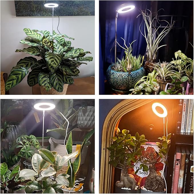 Aokrean Grow Lights for Indoor Plants, 48 LEDs Full Spectrum Plant Light for Indoor Plants, Height Adjustable Growing Lamp with Base, 3 Optional Spectrums, Auto Timer 3/9/12Hrs, 10 Brightness, 2 Pack