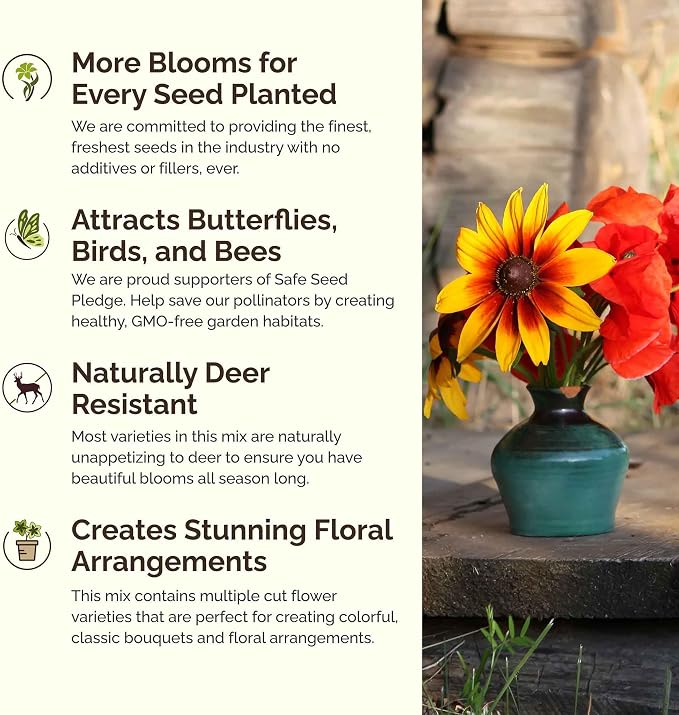 Eden Brothers Virginia Wildflower Mixed Seeds for Planting, 1 lb, 480,000+ Seeds with Five Spot, African Daisy | Attracts Pollinators, Plant in Spring or Fall, Zones
