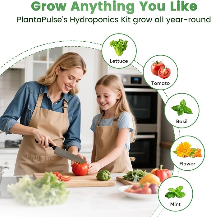 97Pcs Hydroponic Pods Kit, Compatible with Aerogarden, Including 24 Grow Sponges&Labels, 24 Baskets&Domes, 1 Tweezers, Indoor Hydroponic Supplies for Vegetables, Herbs, Lettuce
