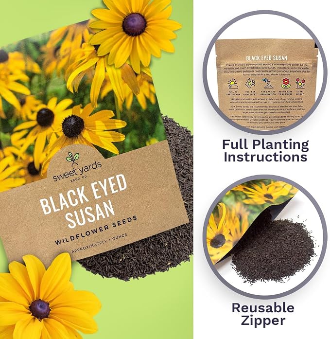 Black Eyed Susan Seeds – Extra Large Packet – Over 100,000 Open Pollinated Non-GMO Wildflower Seeds – Rudbeckia hirta