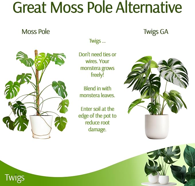 Twigs GA - Stackable Monstera Plant Support Stakes, Climbing Support for Indoor & Outdoor Use, Plant Accessories, Aesthetic Alternative to Moss Poles & Trellises – Monstera Green, 5 Pack, 17" L
