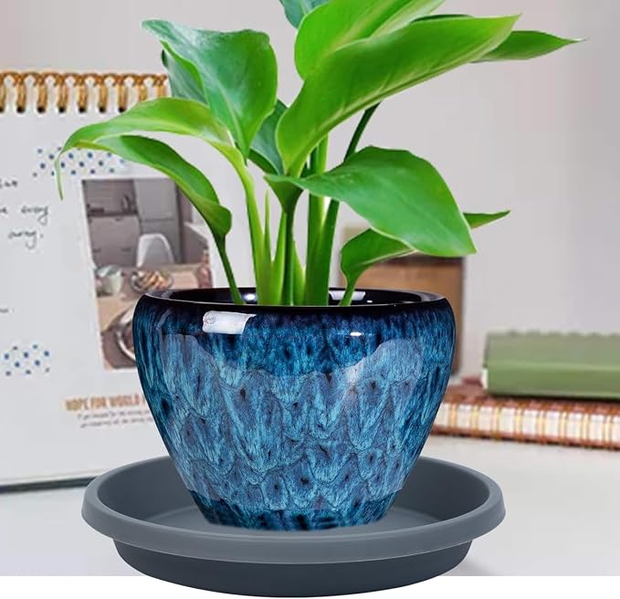 NIMYAU Plant Saucer Round 10 Inch 2 Pack Thickened Plastic Drip Trays for Indoor Plants and Outdoor Pots