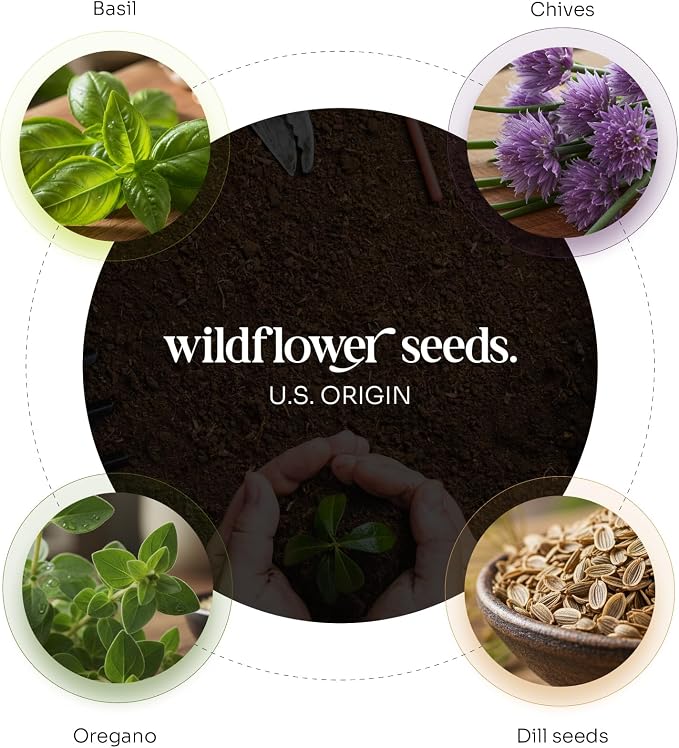 Plantable Herb Seed Paper – 24 Herb-Shaped Planting Seed Papers Writable & Plantable Gift for Moms, Plant Lover, & Teachers, Classroom Activities, Garden Projects, & Celebration Favors