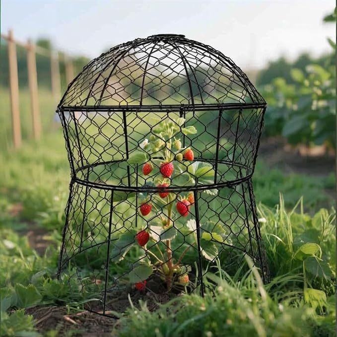 Garden Cloches for Plants 6 Pack Metal Plant Protectors from Animals Chicken Wire Cloche Updated Plant Cages for Outdoor Plants Vegetables Seedlings 13" D x 14" H