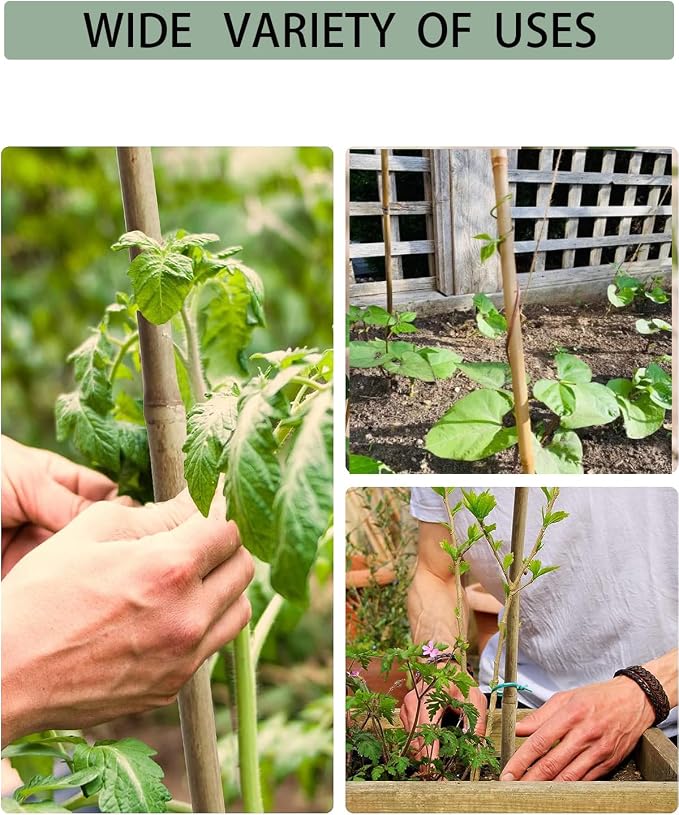 5 Ft Bamboo Stakes with 100 Twist Ties Natural Bamboo Garden Stakes for Tomatoes Cucumber Grapes Pole Beans Trees Potted Dahlia Flowers and Climbing Plants - Pack of 20 (58in, Approx 5FT)