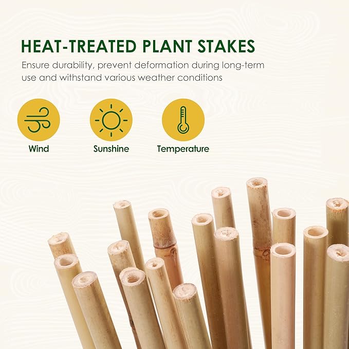 Cambaverd Bamboo Stakes 7 Feet, Natural Plant Stakes for Tomatoes, Climbing Plants Support, Tall Garden Stake - 15 Pack Bamboo Poles
