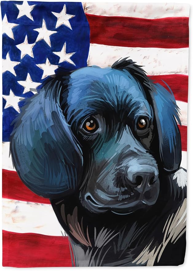 Caroline's Treasures CK6723GF Stabyhoun Dog American Flag Garden Flag Mailbox Flag Decorative Yard Flag Banner Outside Patio Artwork Yard Flower Beds, Garden Size, Multicolor