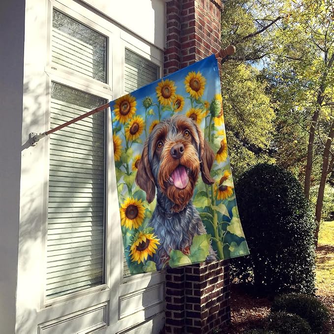 Caroline's Treasures DAC6177CHF Wirehaired Pointing Griffon in Sunflowers House Flag Large Porch Sleeve Pole Decorative Outside Yard Banner Artwork Wall Hanging, Polyester, House Size, Multicolor