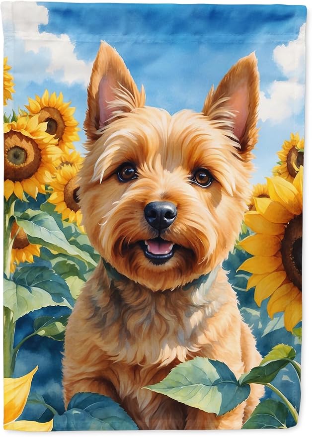 Caroline's Treasures DAC6127CHF Norwich Terrier in Sunflowers House Flag Large Porch Sleeve Pole Decorative Outside Yard Banner Artwork Wall Hanging, Polyester, House Size, Multicolor