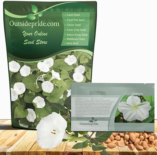 Outsidepride Ipomoea Alba Moonflower Seeds – 1/4 lbs. Annual, Vining Flower Seeds for Planting, Fragrant Night-Blooming Climbers for Trellises, Moon Gardens, Night Pollinators & Outdoor Landscapes