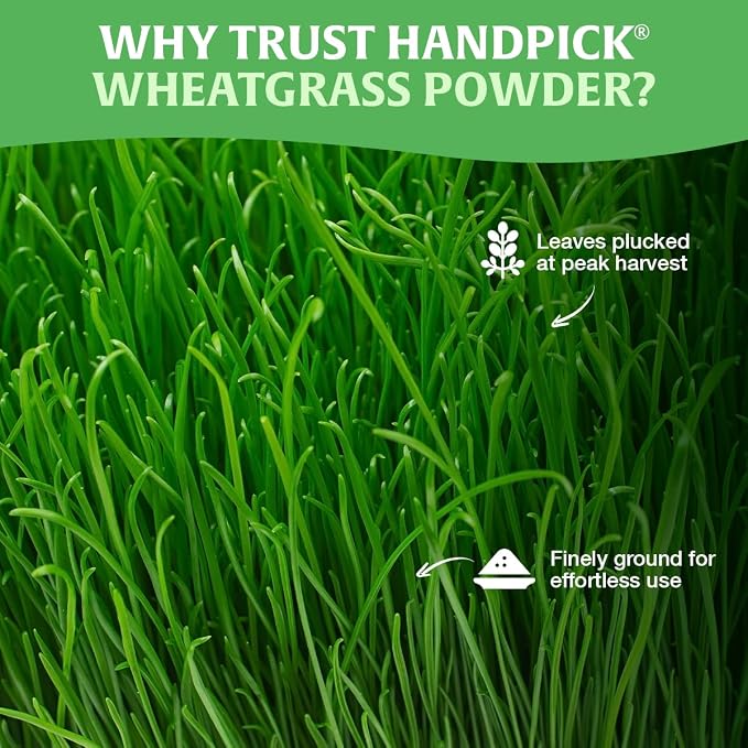 HANDPICK USDA Organic Wheatgrass Powder (10oz) Rich Green Powder - Lab Tested | 100% Whole Leaf | Gluten Free, Non-GMO | No Sugar, No Artificial Ingredients | Resealable Pouch (Packaging may vary)