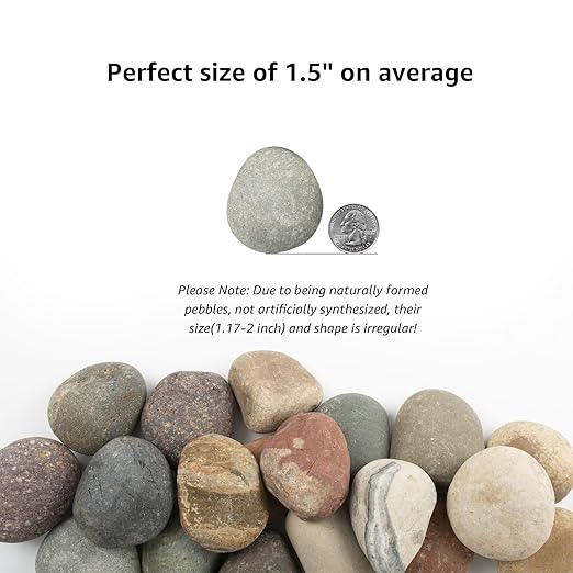 20 LBS River Rocks for Plants - 1-2 inch Natural Stones, Screened Decorative River Rocks for Landscaping, Garden Pathway, Plant Stones, Craft Walkways, and Outdoor Decorative